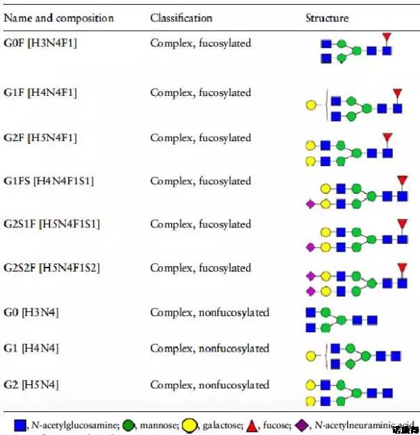 Glycosylation modification services for antibodies and vaccines